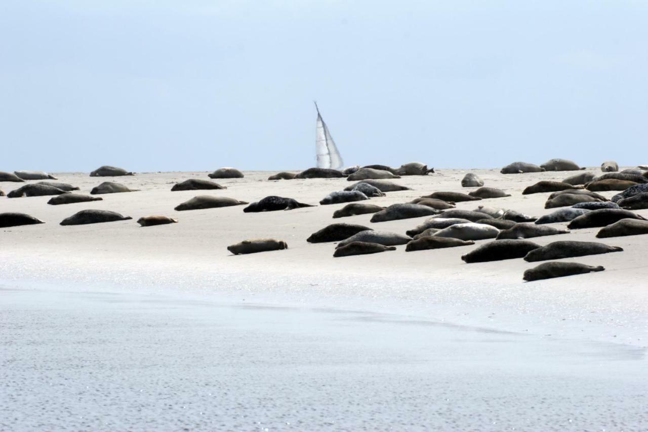 Borkumunterkunft - Woh7 - Im Herzen Der Insel Экстерьер фото